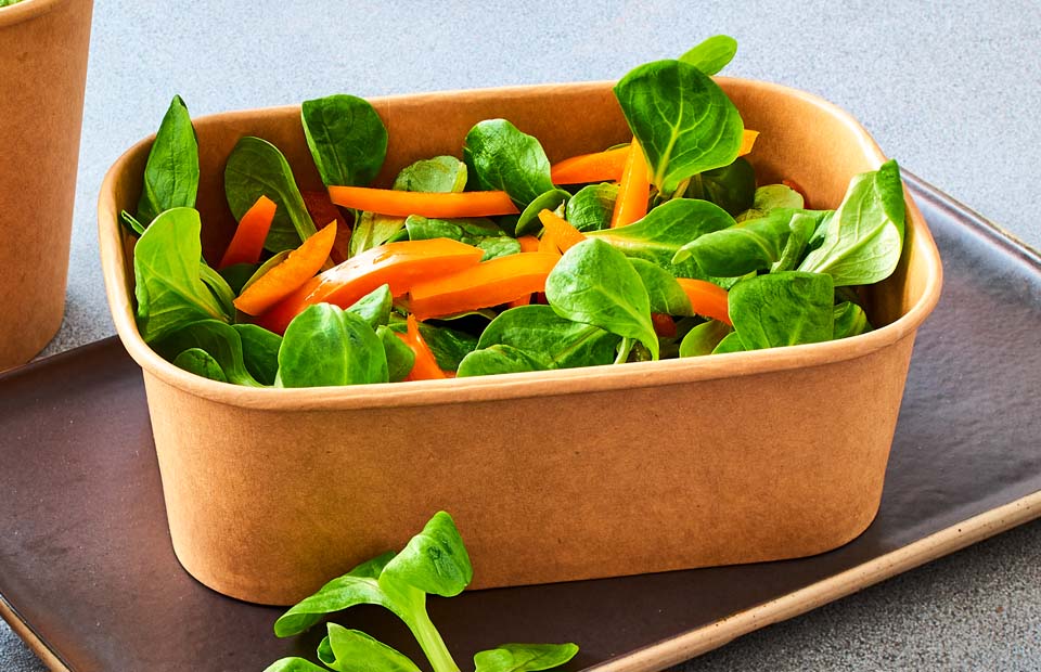 recyclebare Salatbox